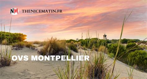 ovs montpellier|OVS / FB Montpellier